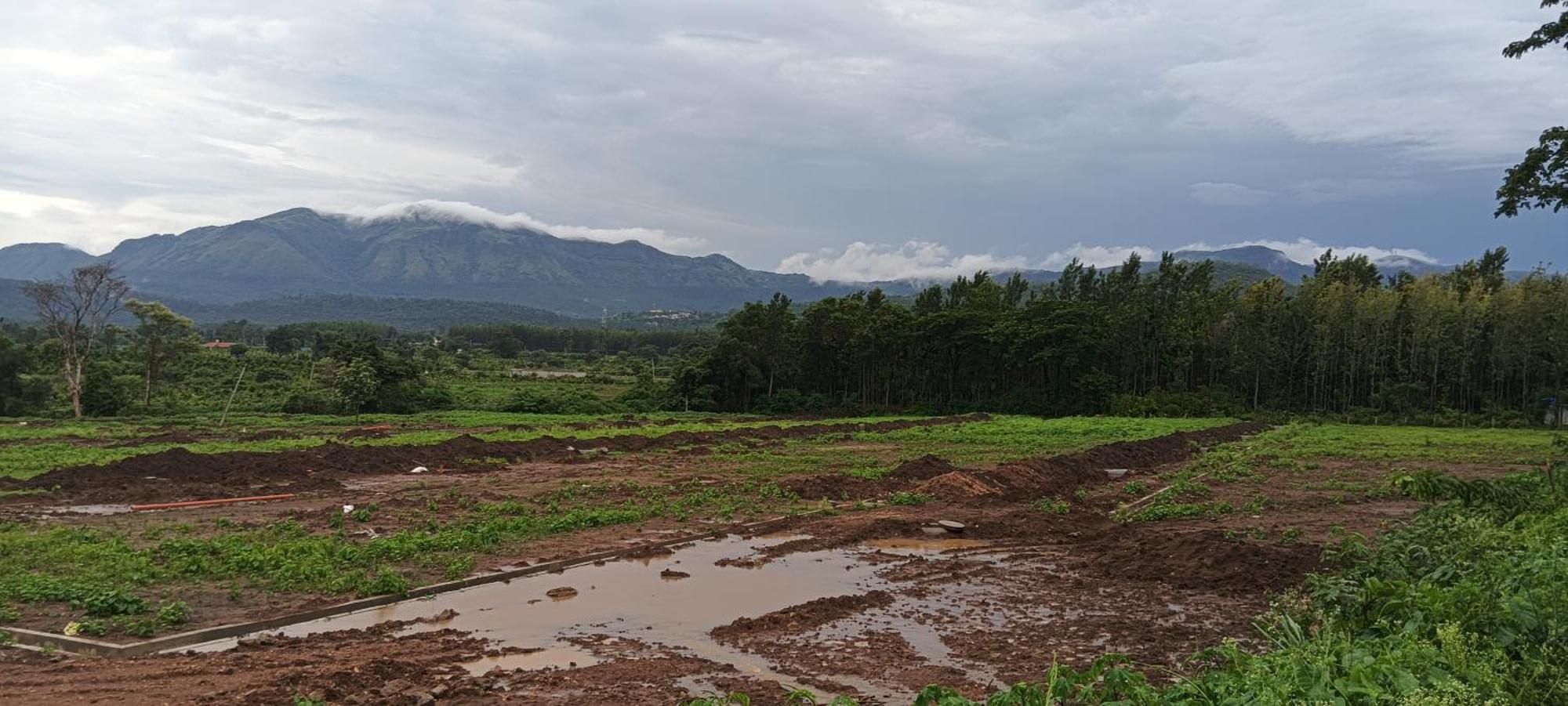 Malgudi Mane Homestay Chikmagalūr 外观 照片