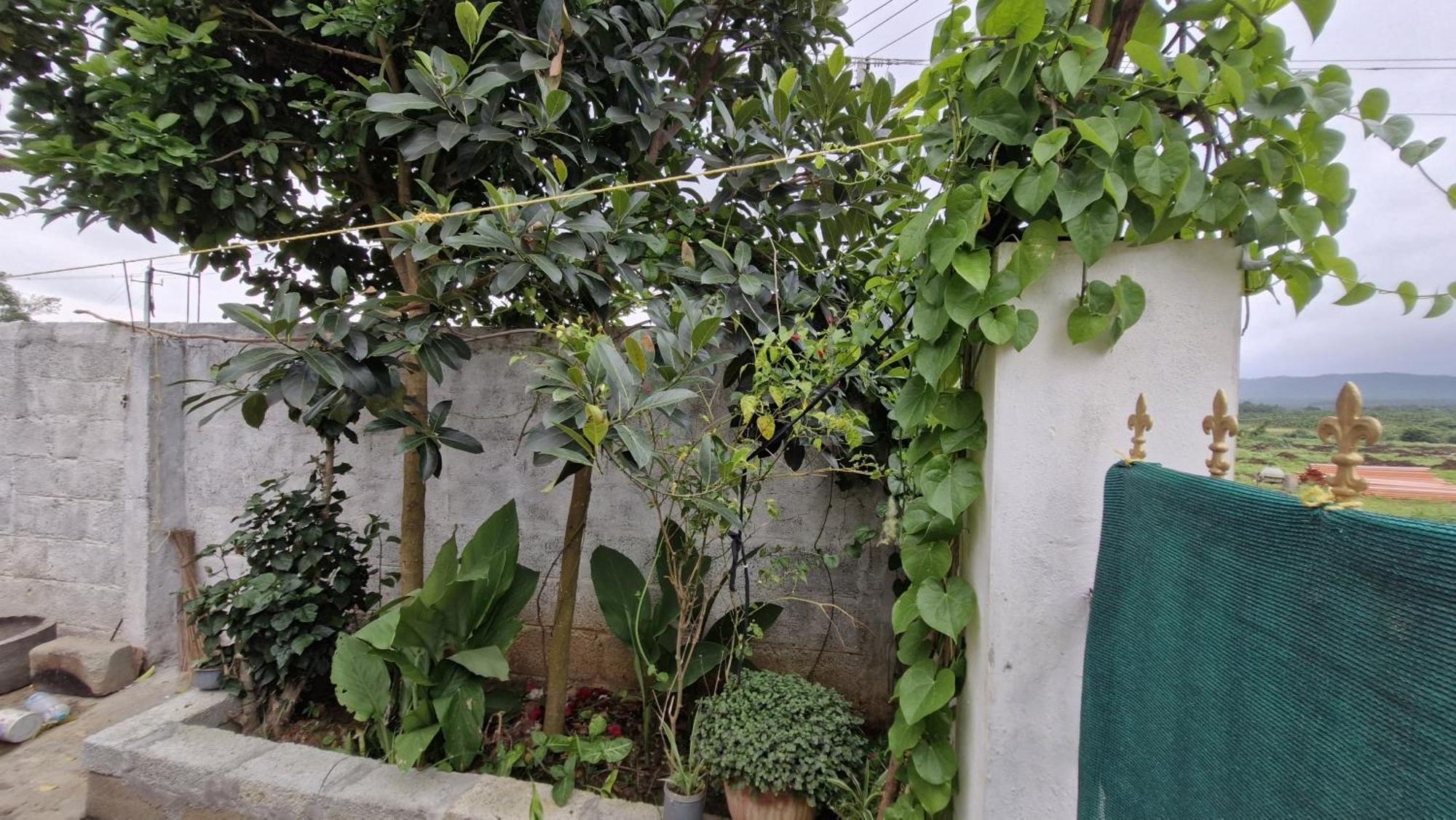 Malgudi Mane Homestay Chikmagalūr 外观 照片