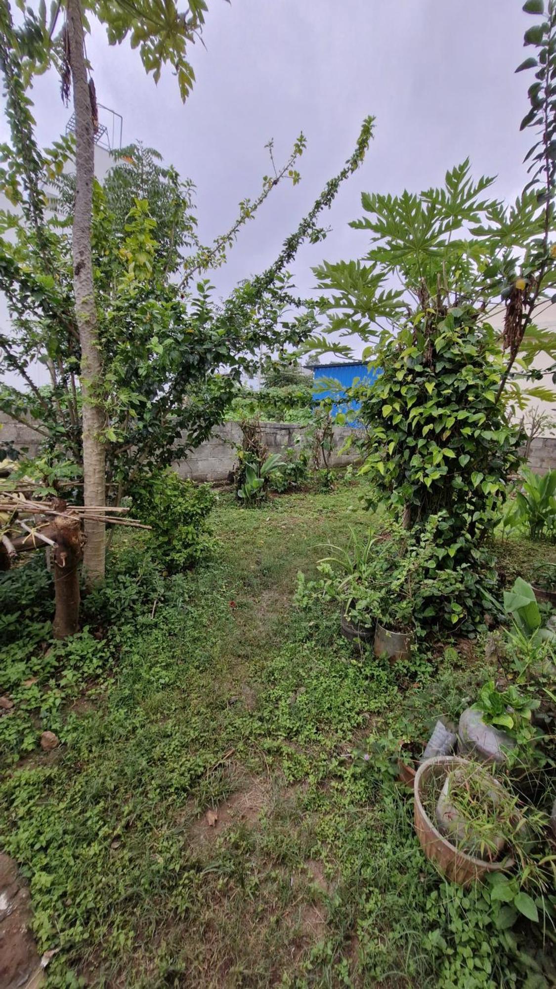 Malgudi Mane Homestay Chikmagalūr 外观 照片